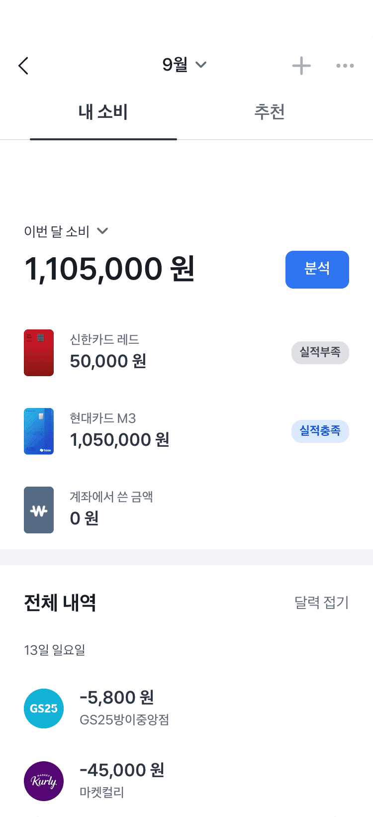 내 소비